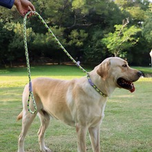 狗链一体式可调节防爆冲反光遛狗神器P链 牵引绳宠物P绳中大型犬