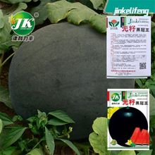 高产黑皮无籽西瓜种子8424麒麟甜王水果蔬菜四季薄皮西瓜特大巨型