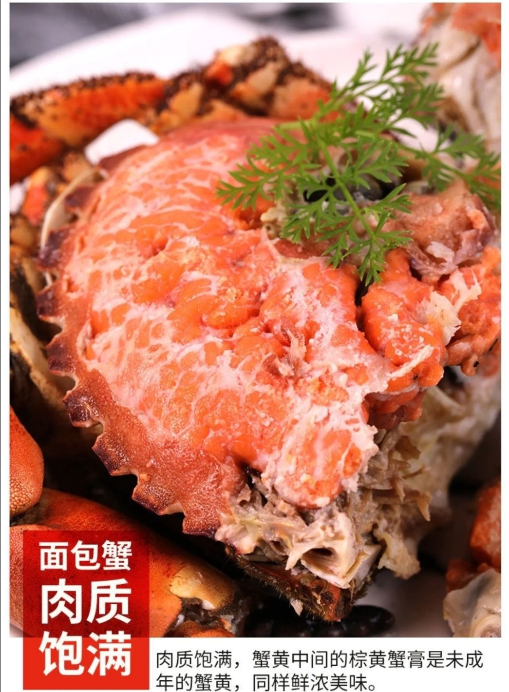面包蟹海鲜珍宝冷冻皇帝蟹水产膏蟹海蟹梭子蟹大螃蟹冻黄道蟹海蟹