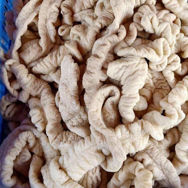 免洗卤过水七成熟肥肠大肠农家土猪笨猪新鲜生猪大肠头新鲜猪大肠