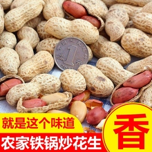 2023新货红皮花生带壳生原味四粒红红衣花生炒熟鲜花生米散装