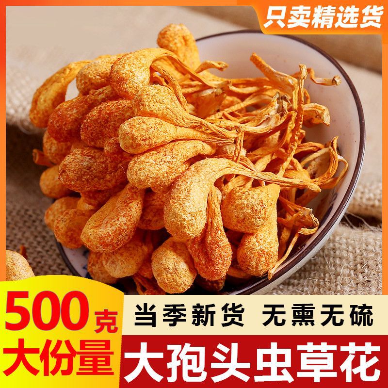 虫草花大孢子头散装北虫草蛹虫草金虫草无硫大孢头煲汤料食材