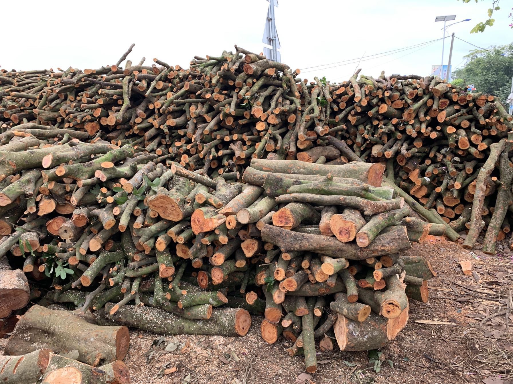 木柴柴火户外烧烤篝火野炊灶壁炉木柴客厅装饰柴荔枝木柴木头包邮