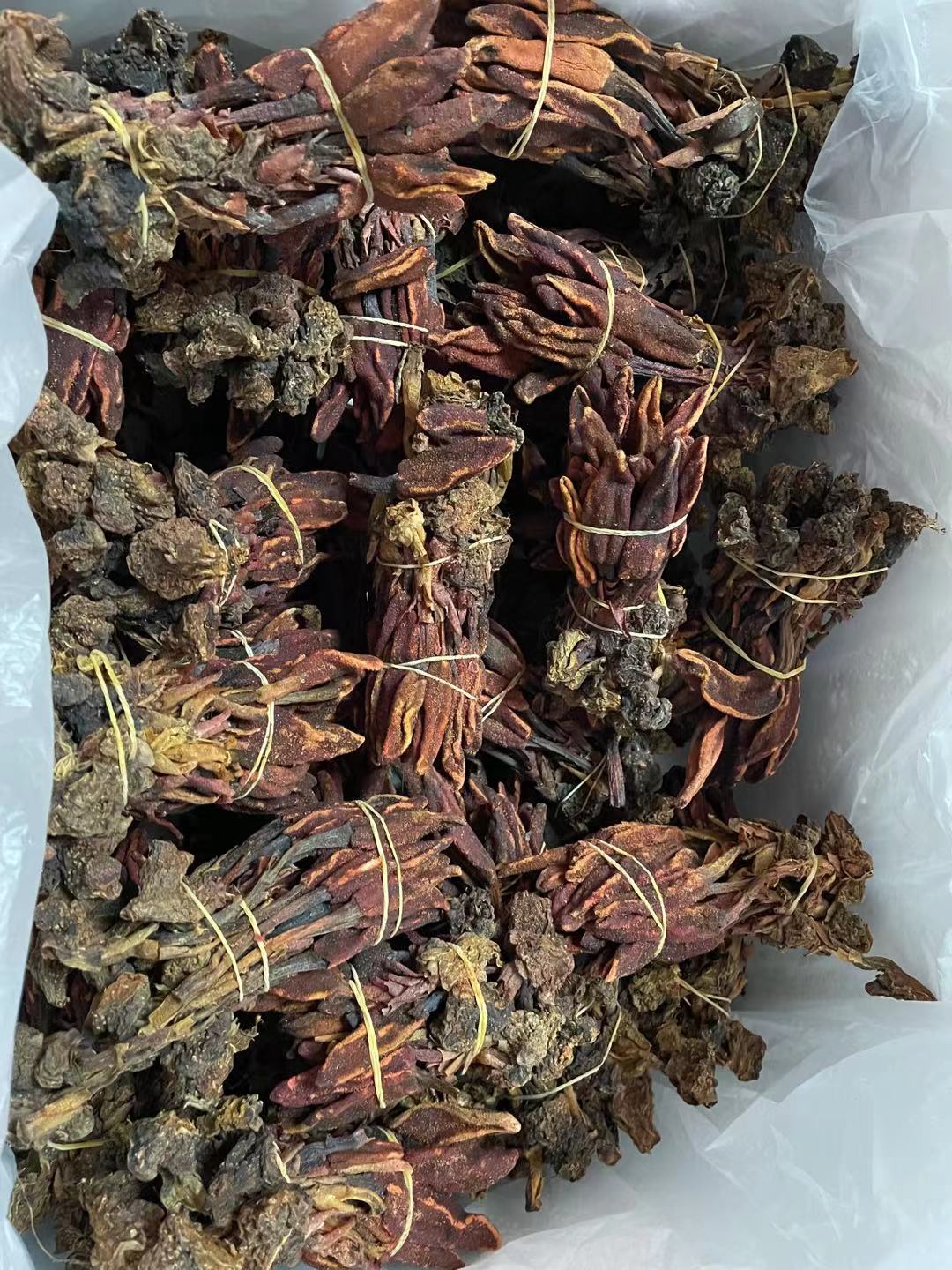 新货500g回春草不老草顶天柱泡酒料草苁蓉 不老草 草苁茸扎把款