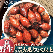 金樱子野生新鲜干货中药材泡茶泡酒材料广西金婴子金英子干果熟果