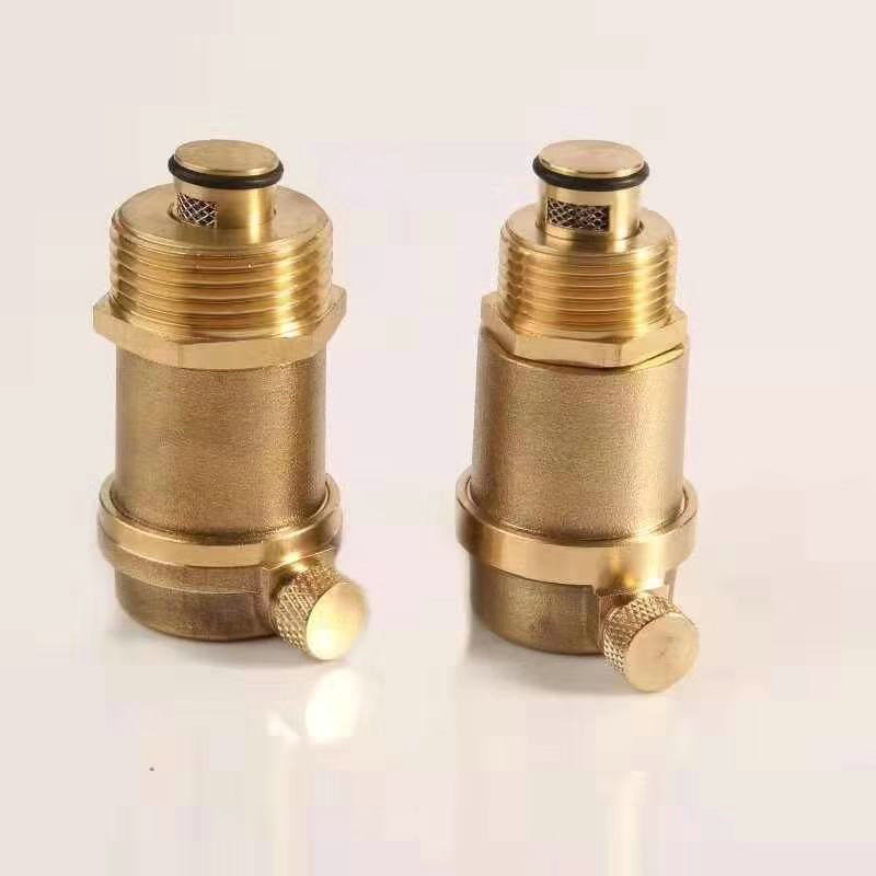 全铜自动排气阀暖气排气阀管道水管放气排气阀4分6分1寸带咀带网