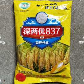 【一季杂交中稻种】国审稻深两优837水稻种子籼型两系杂交500克