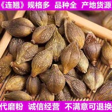 连翘 新货不熏染农产品量大从优批发中药材原料 连翘粉沫青翘黄翘