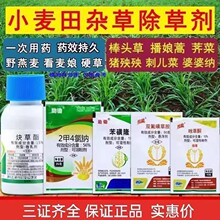 小麦除草剂 苯磺隆双氟磺草胺炔草酯 燕雀麦麦篙荠菜野麦禾阔双除