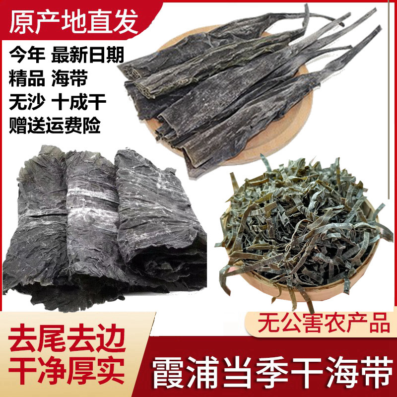干海带霞浦海带厚海带丝海带头海带结裙带菜麻辣烫火锅海带高泡发
