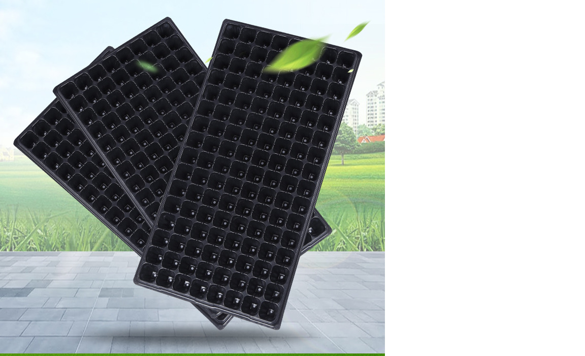 批发营养钵加厚塑料蔬菜多肉育苗盘穴盘培育盘种植盘种菜盆