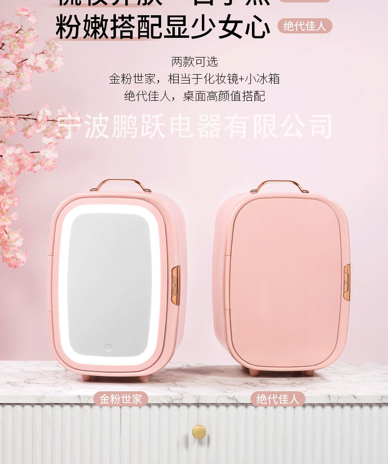 Sast Mini Mini Refrigerator Car Beauty Refrigerator Dual Use in Car and Home Office Student Dormitory Breast Milk Cosmetics