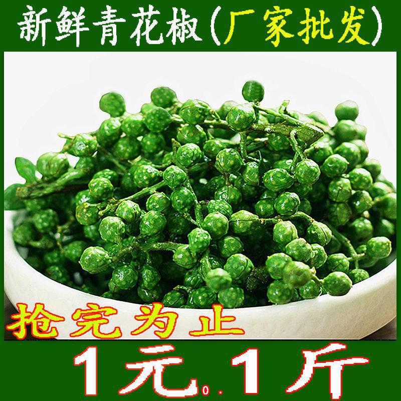 新鲜青花椒藤椒江津九叶青花椒冷冻保鲜特麻特香四川重庆麻椒批发