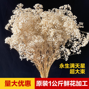 云南永生满天星干花花束基地大量批发diy花材1公斤鲜花满天星加工