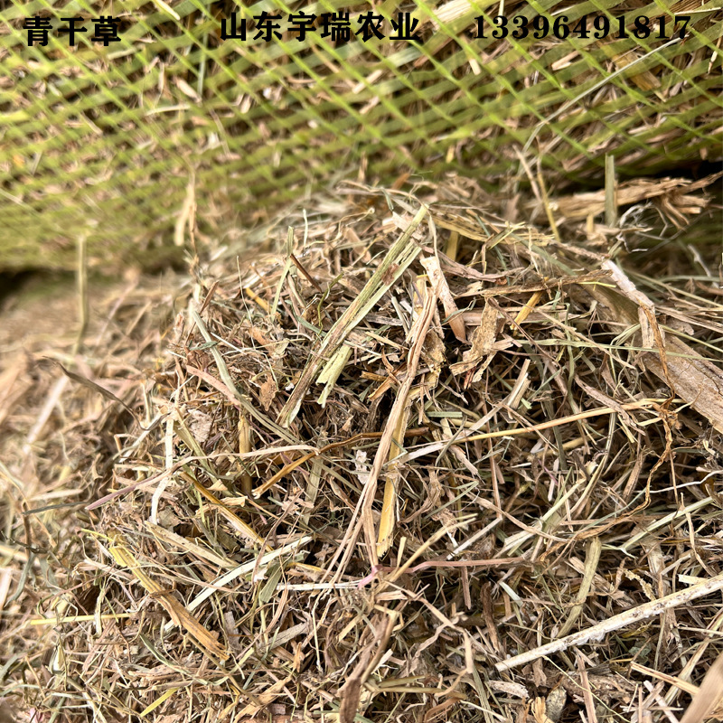 现货供应动物园级青干草毛子杂草牛马羊饲草 青草气味清新水分低