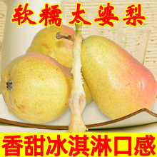 啤梨进口比利时啤梨大果4斤软糯香甜荷兰青啤梨新鲜儿童水果包邮