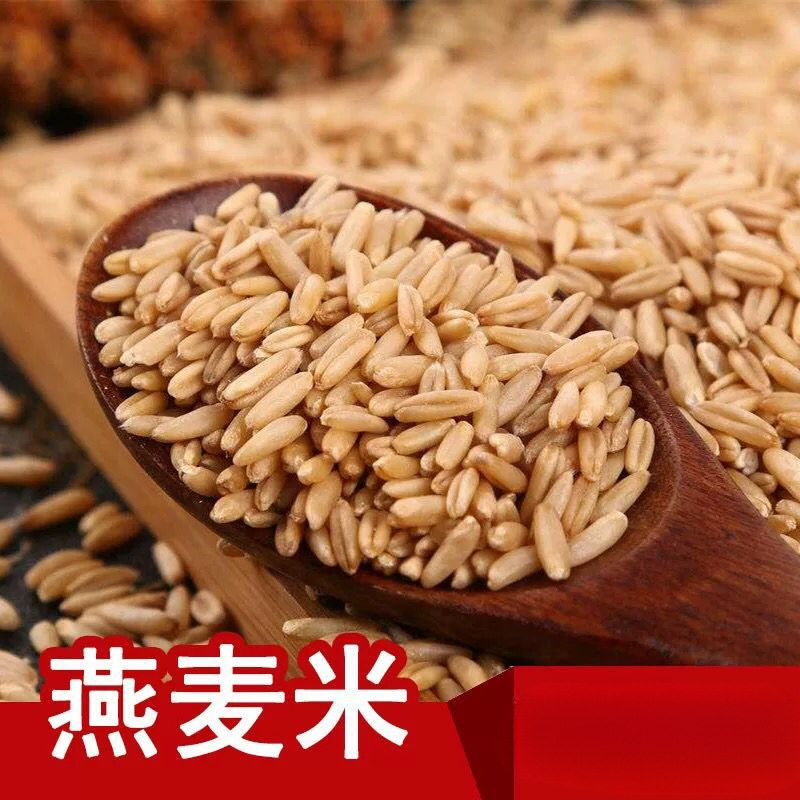 山西燕麦米燕麦仁胚芽米无糖裸燕麦农家自产燕麦粒五谷杂粮包邮批