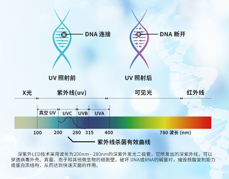 杀菌原理_看图王