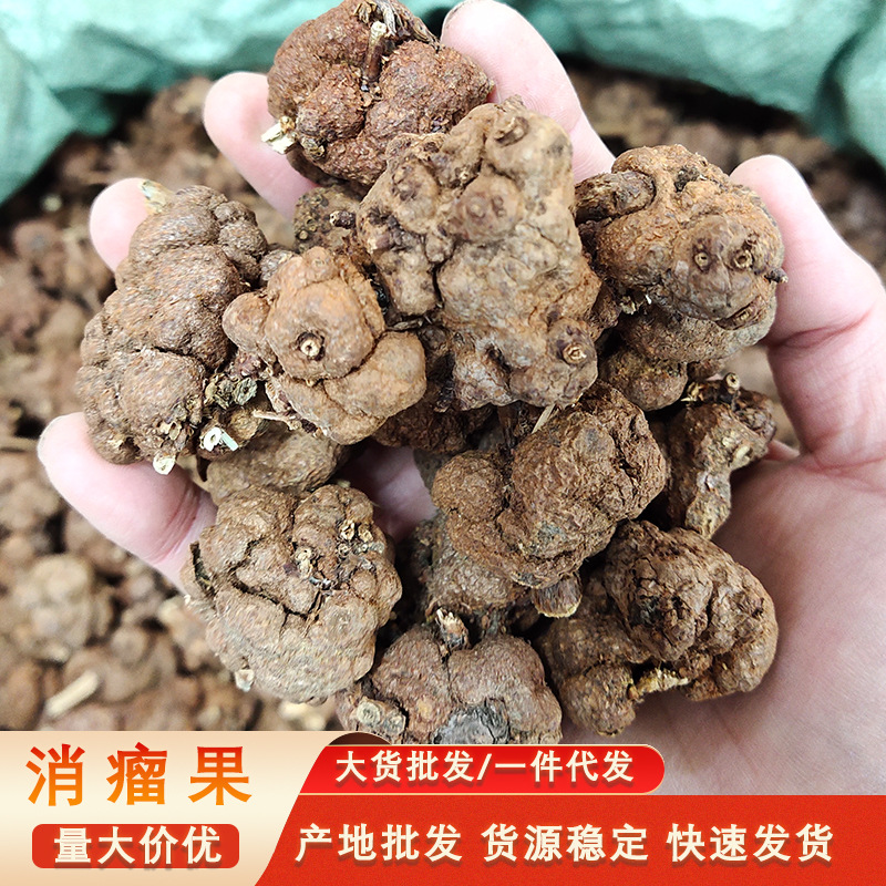 消瘤果瑶族消瘤藤整果云南野生消瘤子新晒无硫香茯苓黄花香果批发
