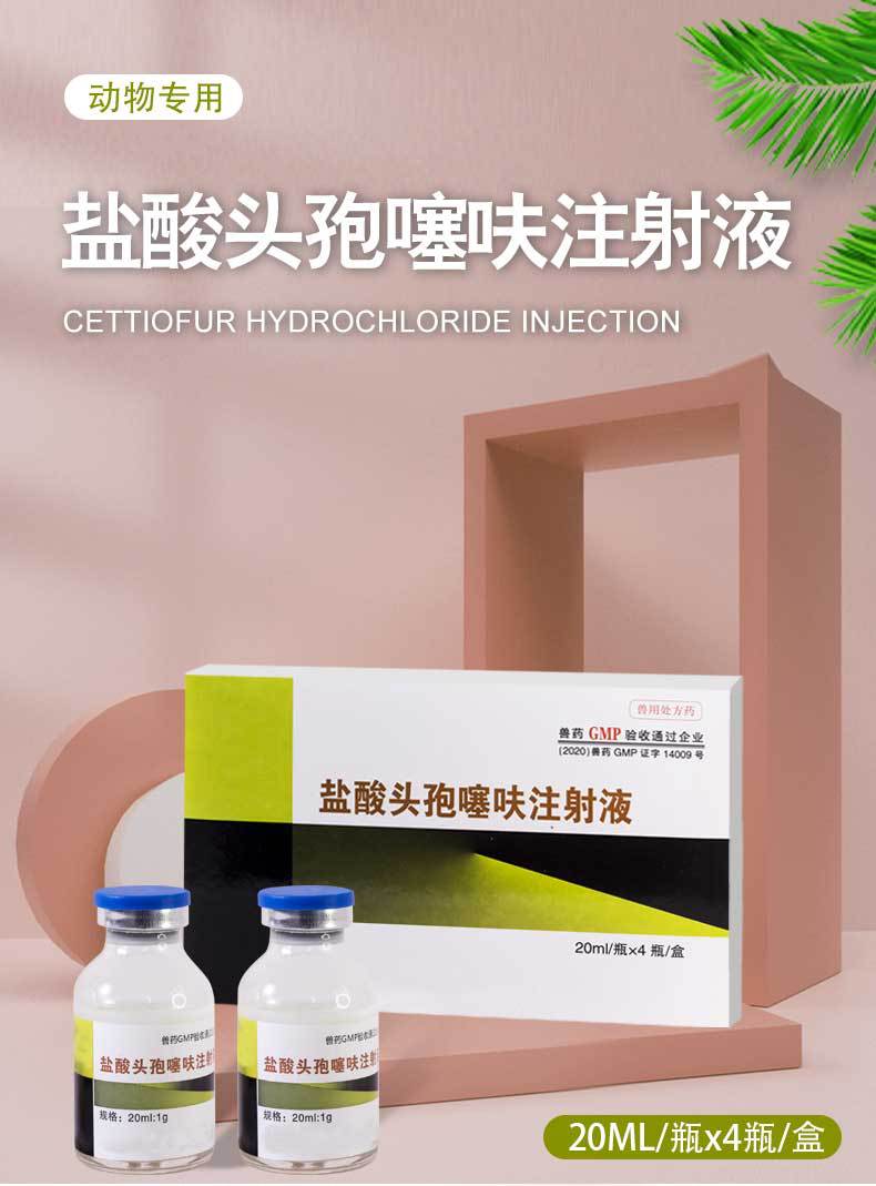 兽用兽药盐酸头孢噻呋注射液母猪保健副猪呼吸道疾病胸膜感染
