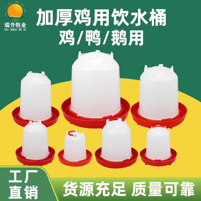 鸡用饮水器 鸡喝水桶 鸡鸭鹅鸽子自动喂水器 饮水壶小鸡喝水槽