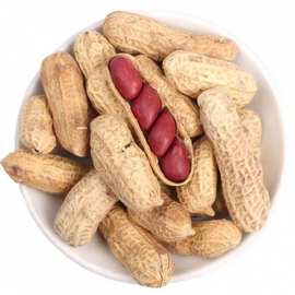 农家铁锅炒花生瓜子年新货带壳原味四粒红衣红皮花生