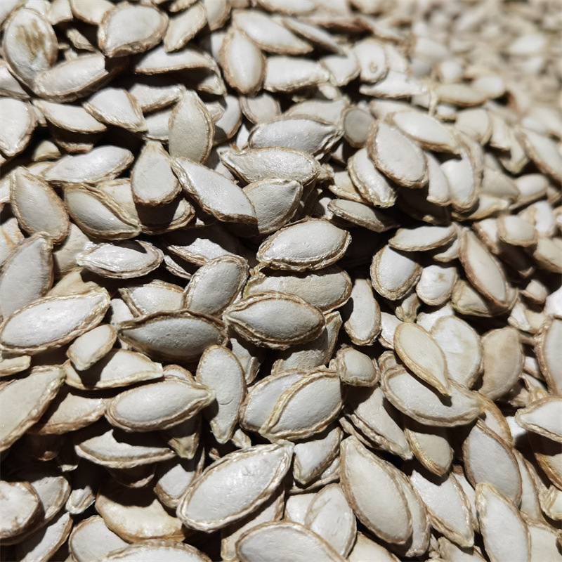 云南农家自种老品种毛边南瓜籽 生的原味手工精选 大小颗粒南瓜子