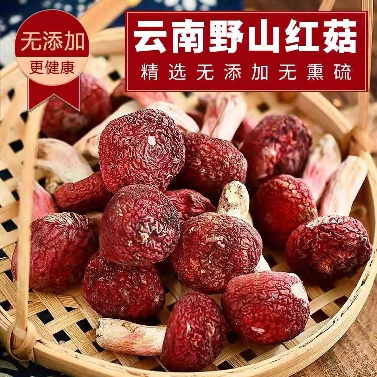 云南 营养菌菇类干货 野生红菇 红蘑 非福建野生50克-阿里巴巴