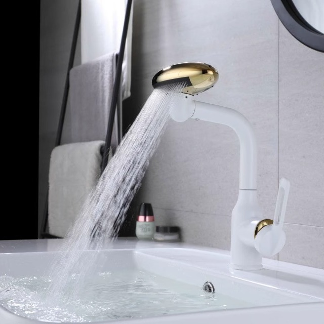 Source Factory Feiyu Waterfall Faucet Hot and Cold Wash Basin Wash Basin Vegetable Basin Four-Function Basin Faucet Water Tap