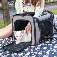 车载猫咪包透气大容量两只猫外出门便携宠物包狗包绝育猫笼子猫窝