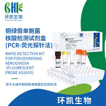 铜绿假单胞菌核酸检测试剂盒 PCR-荧光探针法 环凯微生物快速检测