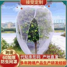 农用防虫网罩种植大棚防虫网养殖围网跨境加厚蔬菜果树防虫网罩