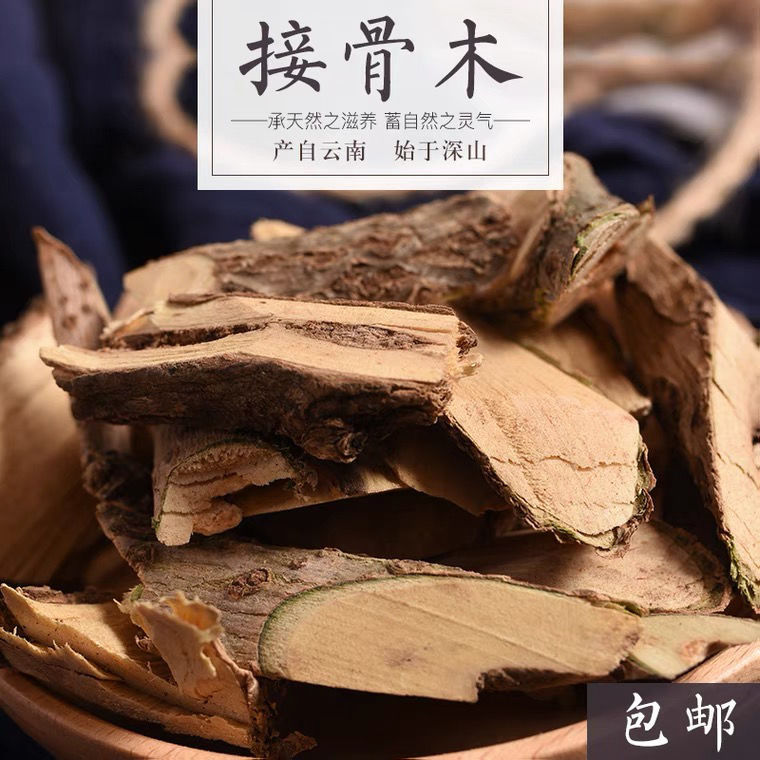 云南里予生中药材接骨木 接骨风接骨丹续骨木舒筋树马尿骚大接骨