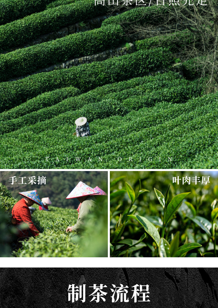 台湾进口大禹岭乌龙茶150克袋装 高山茶清香型台湾高冷茶茶叶批发