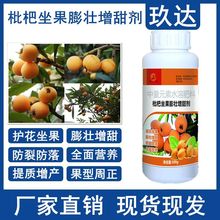 枇杷树专用肥料 膨大增甜剂 保花保果药授粉防落果枇杷防冻叶面肥