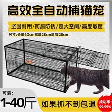 捕猫笼厂家全自动捕猫笼抓猫大号抓流浪猫人道救助猫咪笼捕猫神器