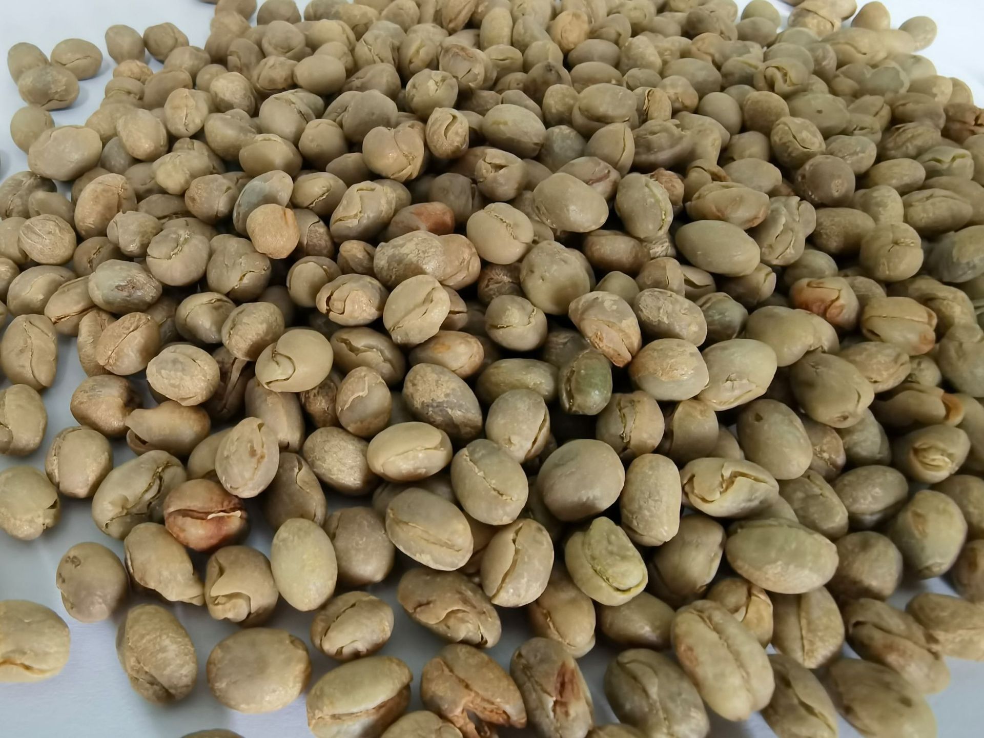 云南小粒咖啡生豆arabica阿拉比卡 14-16目 出口内销生产厂家