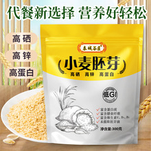 批发熟小麦胚芽即食代餐现货小麦胚芽片电商一件代发