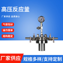 高压反应釜 微型磁力搅拌加热简易釜 不锈钢高压反应釜 水热合成