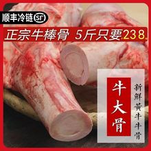 牛骨髓农家散养现杀黄牛棒骨牛大骨牛腿骨牛筒骨煲汤酒店批发批发