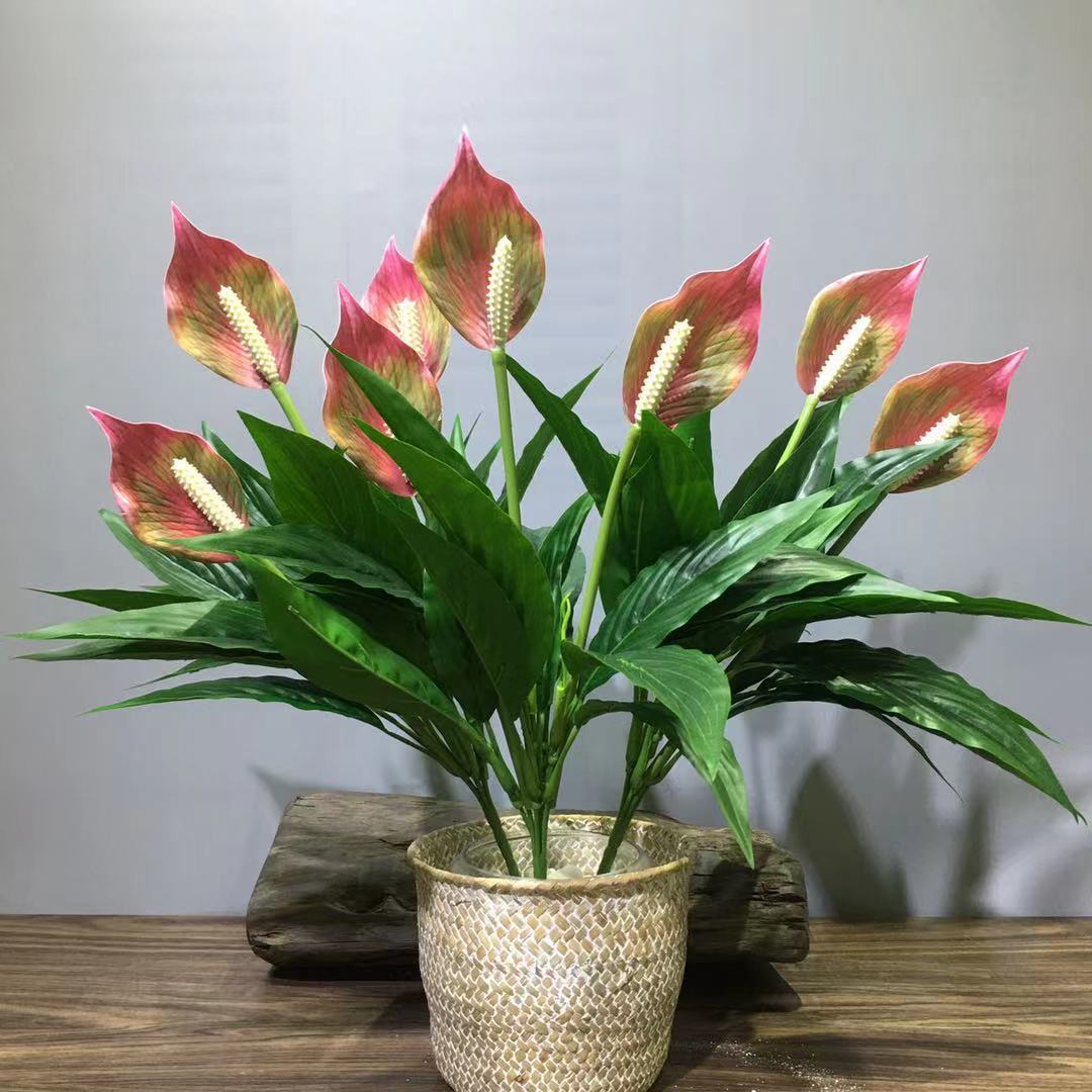 仿真白掌一帆风顺白鹤芋三头红掌和平芋会议室酒店摆放亚马逊跨境