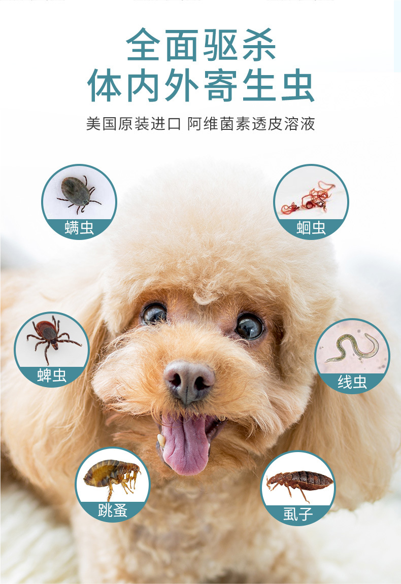 巴迪俏贝丽d800弓形虫球虫驱虫药犬猫咪体内外狗狗一体打虫4粒拆