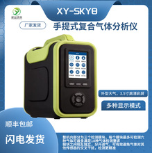 便携式有毒气体检测仪XY-SKY8型H2S HCL CL2 NH3 CO VOC CH2O