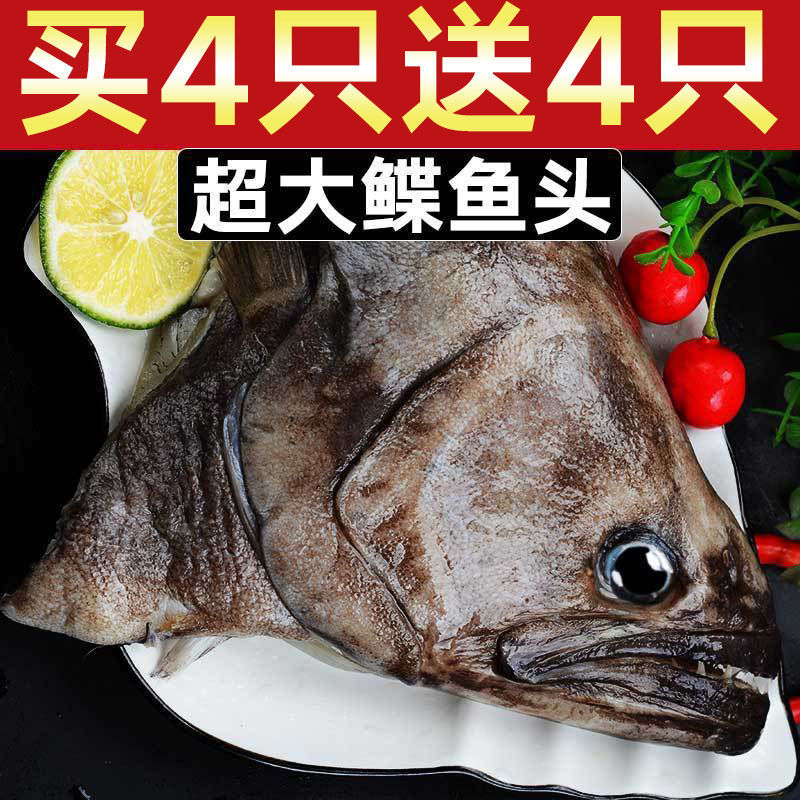鲽鱼头新鲜特大碟鱼头比目鱼鸦片鱼头冷冻偏口鱼深海超大鱼头水产