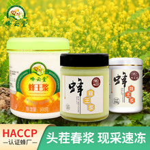 源头蜂厂批发蜜蜂皇浆250克/500克/380克蜂乳油菜春浆批发蜂王浆