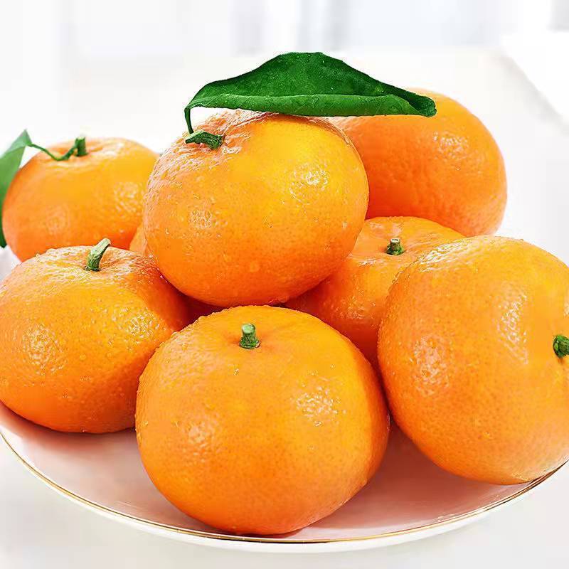 沃柑批发广西武鸣超甜新鲜水果甘皮薄橘子整箱斤非爱媛橙网红