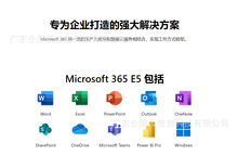 微软Microsoft 365E5 E3国际版订阅授权软件企业正版香港数据中心