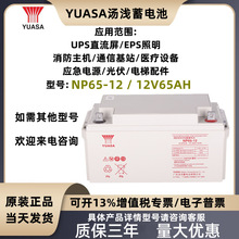 YUASA汤浅蓄电池NP65-12阀控式铅酸免维护 UPS电源 12V65Ah蓄电池