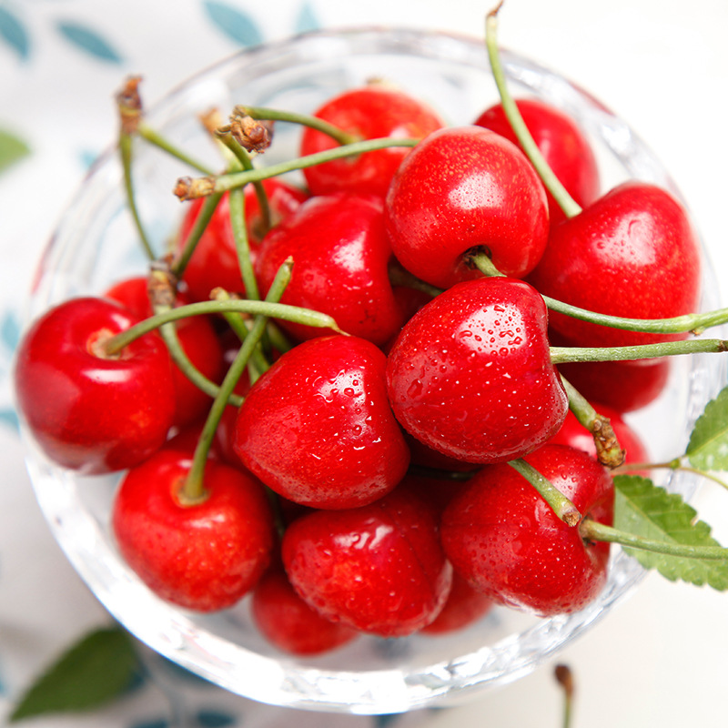 甘肃天水大樱桃现摘现发新鲜直达精品大果5斤包邮-阿里巴巴
