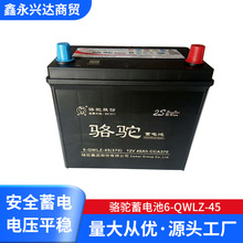 骆驼蓄电池6-QWLZ-45电瓶批发 免维护铅酸蓄电池 12v45ah蓄电池